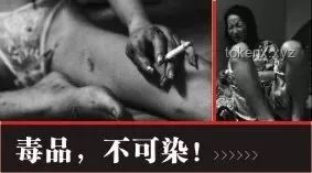 美国社会视角下：毒品、暴力与政治正确的真实看法【你好美国 Reaction】指南